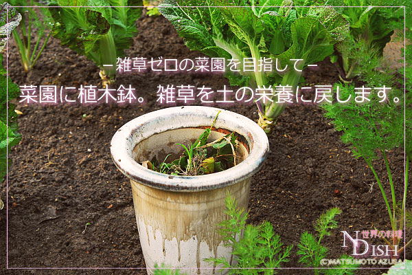 菜園に植木鉢