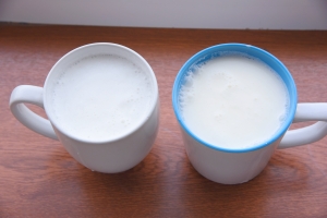 Düýe çal（ドゥイェチャール）とSüzme çal（スズメチャール）
