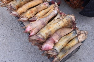 Poycha（ポイチャ）