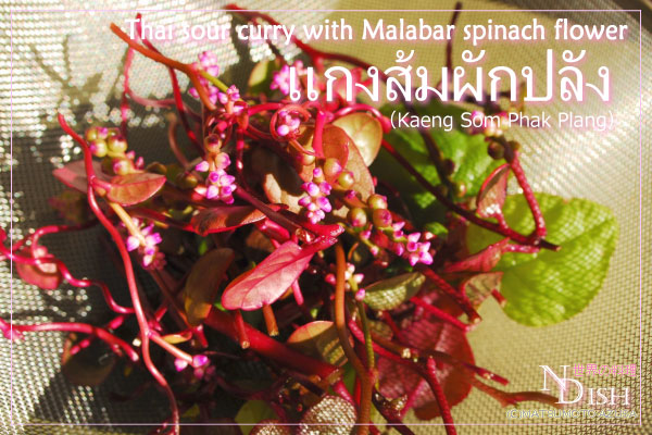 ゲーンソムパックプラン