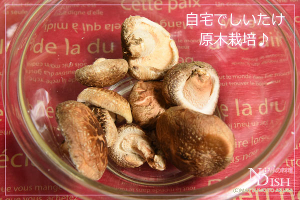 ザオーコンズィー