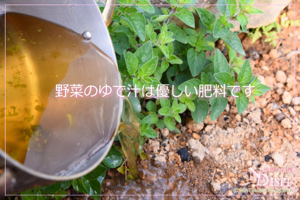 野菜のゆで汁