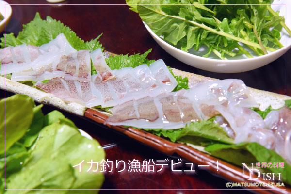 自分で釣ったイカ