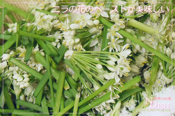 韭菜花酱（ジウツァイホワジャン）