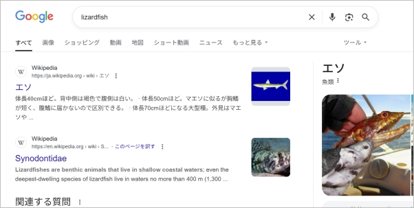 フィッシュパウダー