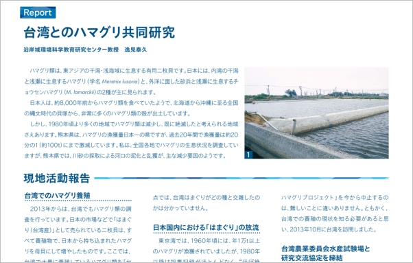 ハマグリ