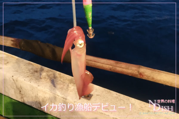 自分で釣ったイカ