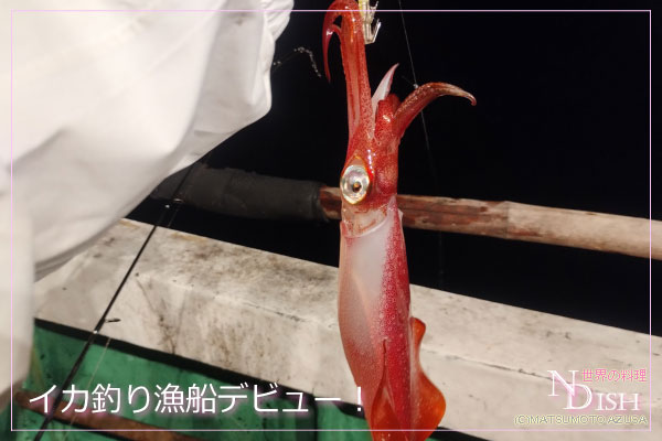 自分で釣ったイカ