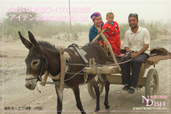 新疆ウイグル自治区